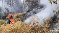Penyebab Kebakaran Gunung Buthak-Kawinajang Meluas hingga 700 Hektare
