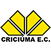 Imagem da matéria: Pressionado, Corinthians deixa Libertadores e foca no Brasileirão