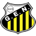 Imagem da matéria: Palmeiras chega à semifinal da Libertadores pela sexta vez em sete anos