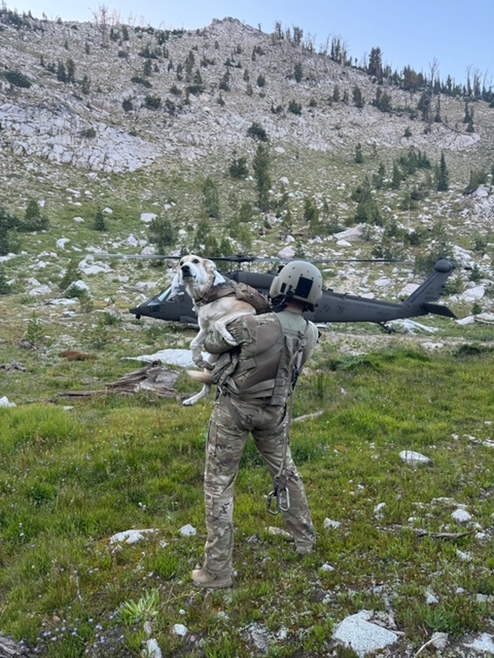 Imagem relacionada à notícia: Guarda Nacional do Exército do Idaho 13 missões de busca e resgate