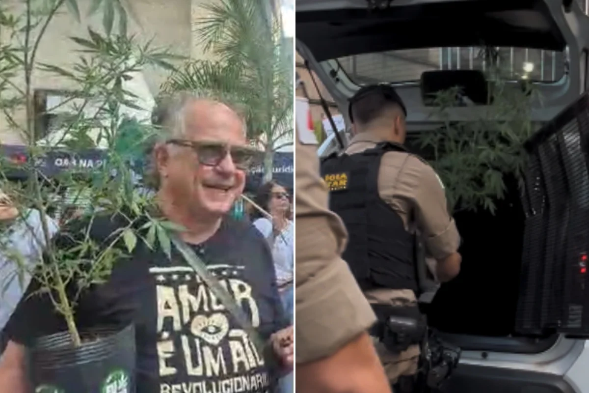 Imagem da matéria: PC vê possibilidade de devolver pé de maconha levado de camburão em BH