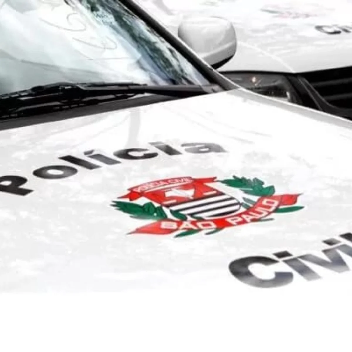 Polícia encontra cabeça humana em praça na zona sul de São Paulo