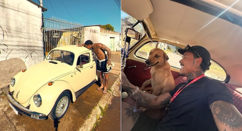Catherine Bascoy, Gabriel Torres e Tina Calamba estão na quinta Roça de A Fazenda 18