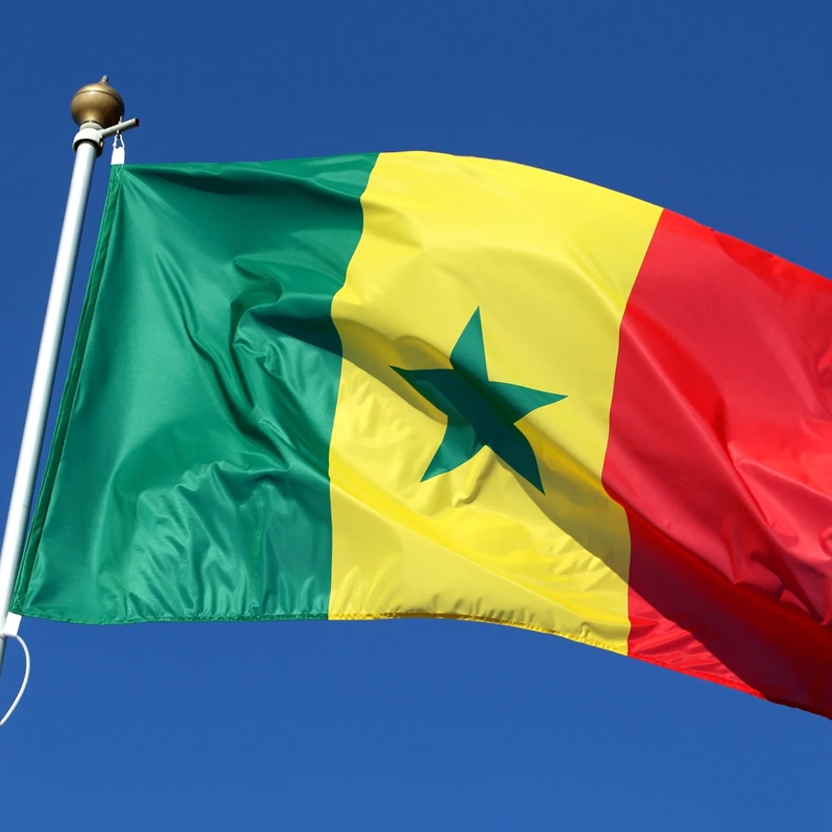 Senegal reprime população LGBTQIA+ com prisões e testes forçados de HIV