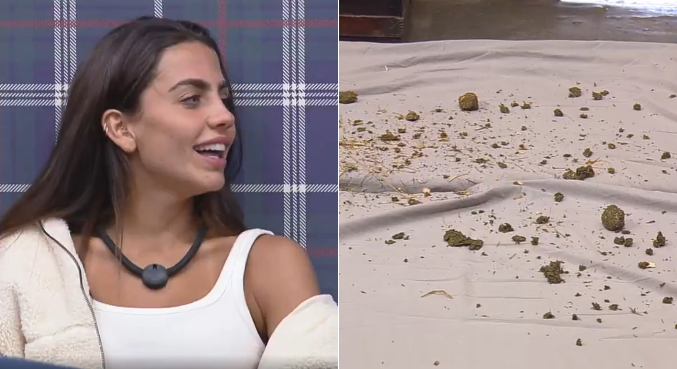 Guerra de esterco? Catherine Bascoy provoca Ana Bruna e Darlin Ferrattry com surpresinha