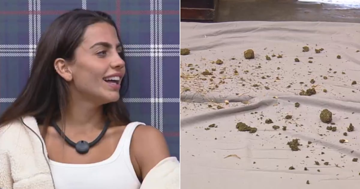 Guerra de esterco? Catherine Bascoy provoca Ana Bruna e Darlin Ferrattry com surpresinha