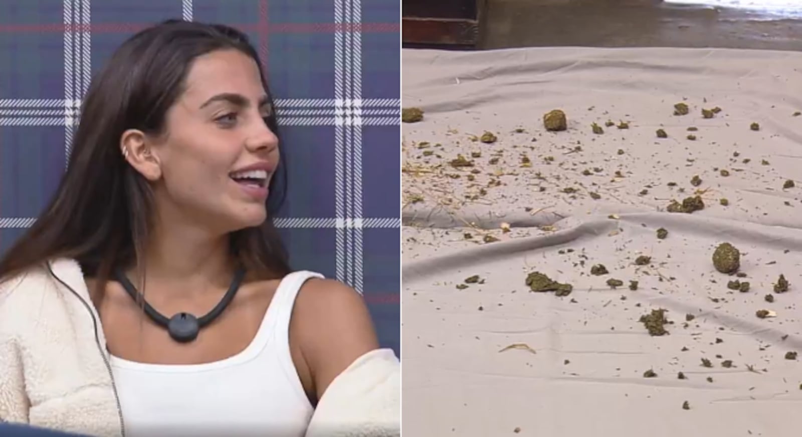 Cath jogou um punhado de esterco nas camas das rivais Reprodução/RecordPlus