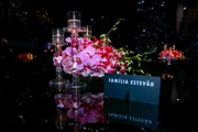 15 anos de Marita Estevão Lira agita capital federal com atrações ilustres